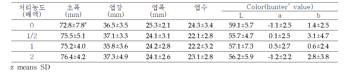 다육식물 ‘블루서프라이즈’ 선인장양액 농도별 처리 효과