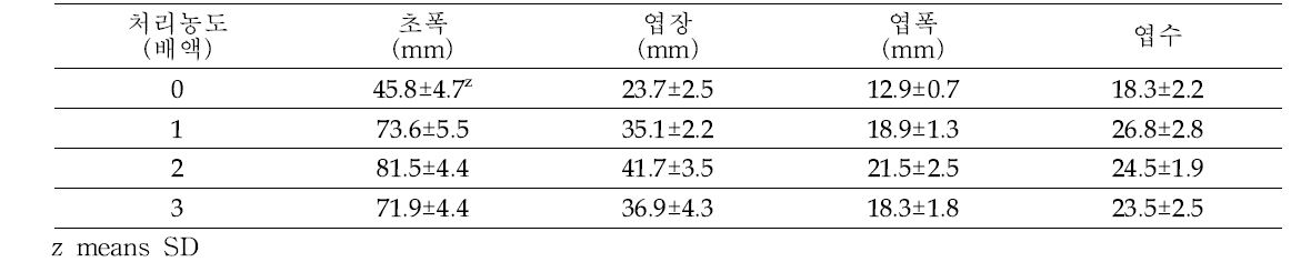 다육식물 ‘데비’ 양액공급에 따른 생육 및 색상 변화