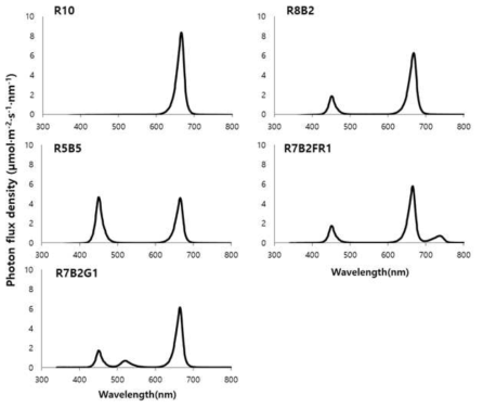 Light spectra at different combinations of red (R), blue (B), far-red (FR), and green (G) LEDs. 적색(R), 청색(B), 녹색(G), 원적색(FR) LED의 조합 처리별 스펙트럼