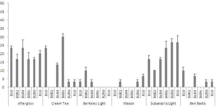 LED 파장(B:R)에 따른 에케베리아 6품종의 식물공장 내 엽삽 15일째 신초 형성률(%)