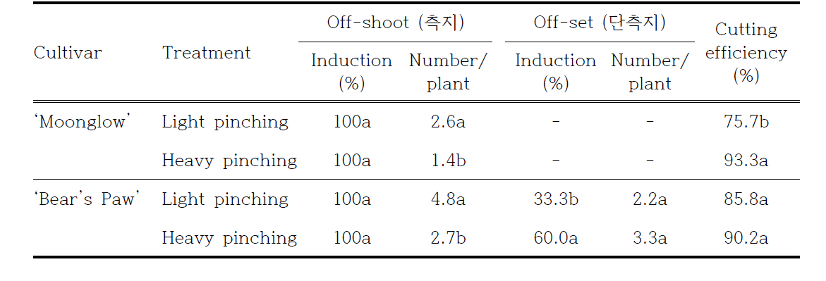 모주 절단 방법에 따른 측지(off-shoot) 단측지(offset) 발생 효율