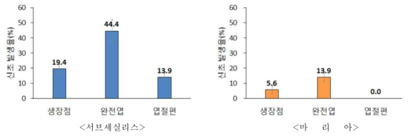 에케베리아속 배양 부위별 신초 발생율