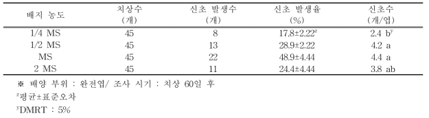 배지 농도별 에케베리아 서브세실리스의 신초 발생율 및 신초수