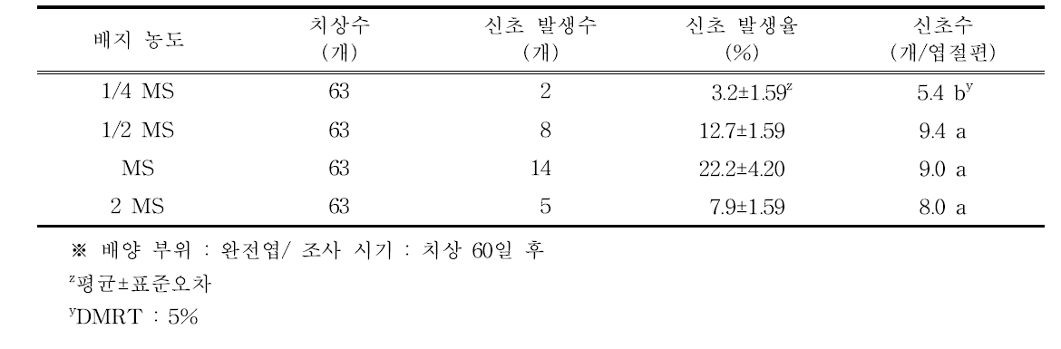 배지 농도별 하월시아 ‘옥선’의 신초 발생율 및 신초수