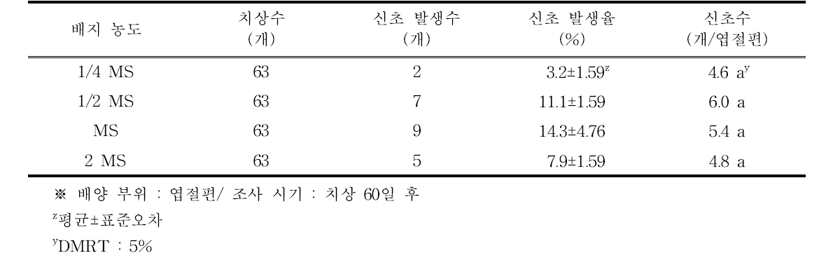 배지 농도별 하월시아 ‘만상’의 신초 발생율 및 신초수