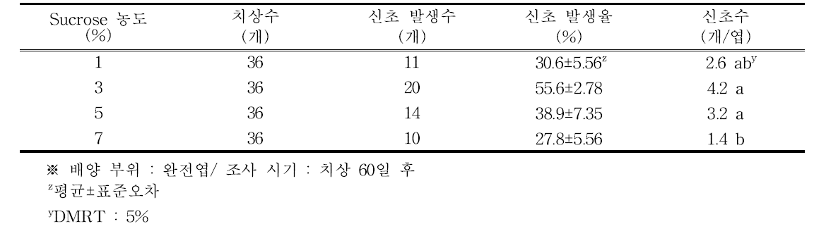 Sucrose 농도별 에케베리아 서브세실리스의 신초 발생율 및 신초수