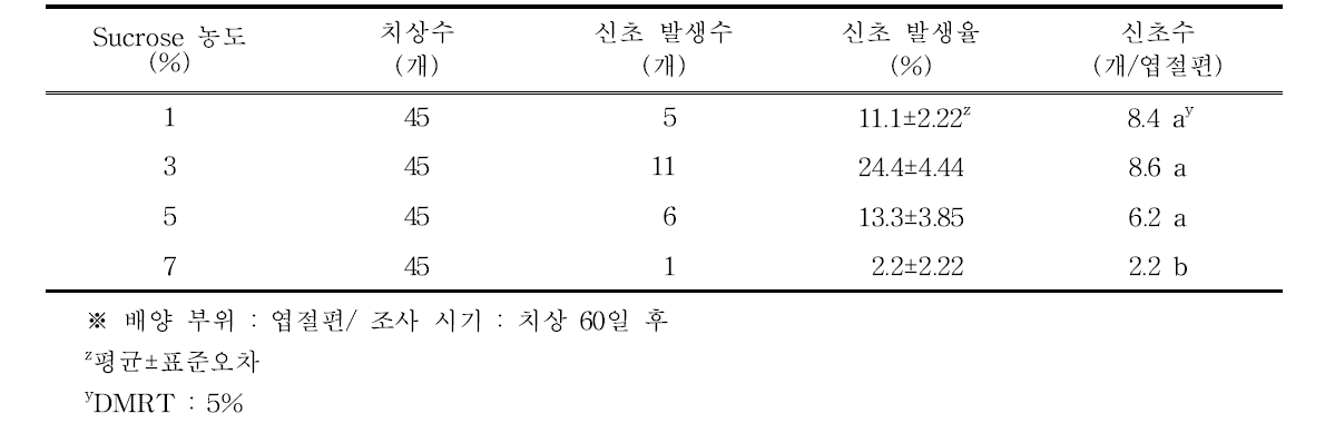 Sucrose 농도별 하월시아 ‘옥선’의 신초 발생율 및 신초수