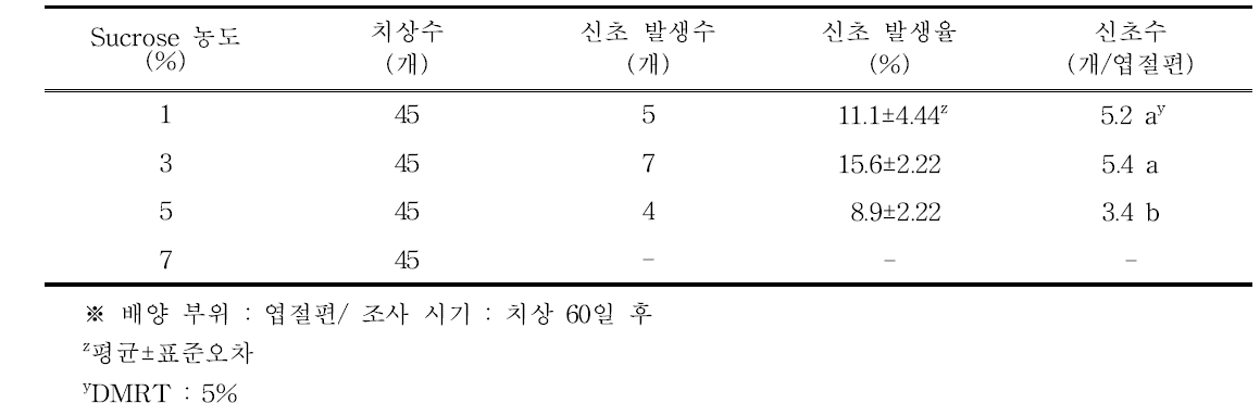 Sucrose 농도별 하월시아 ‘만상’의 신초 발생율 및 신초수