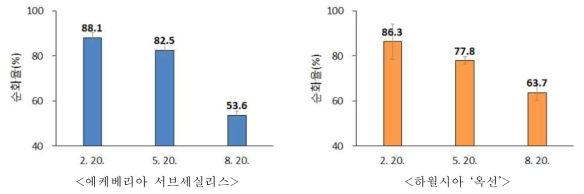 순화시기별 조직배양묘 순화율