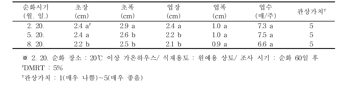 순화시기별 하월시아 ‘옥선’의 생육 특성