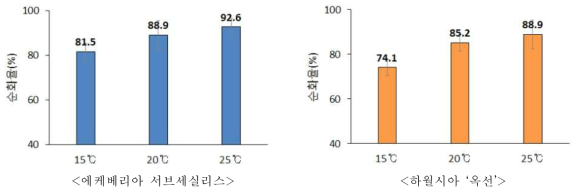 온도조건별 조직배양묘 순화율