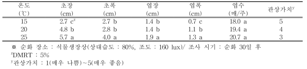 온도조건별 에케베리아 서브세실리스의 생육 특성