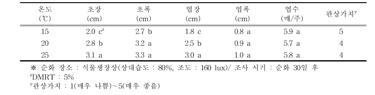 온도조건별 하월시아 ‘옥선’의 생육 특성