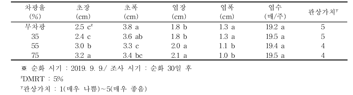 차광율별 에케베리아 서브세실리스의 생육 특성