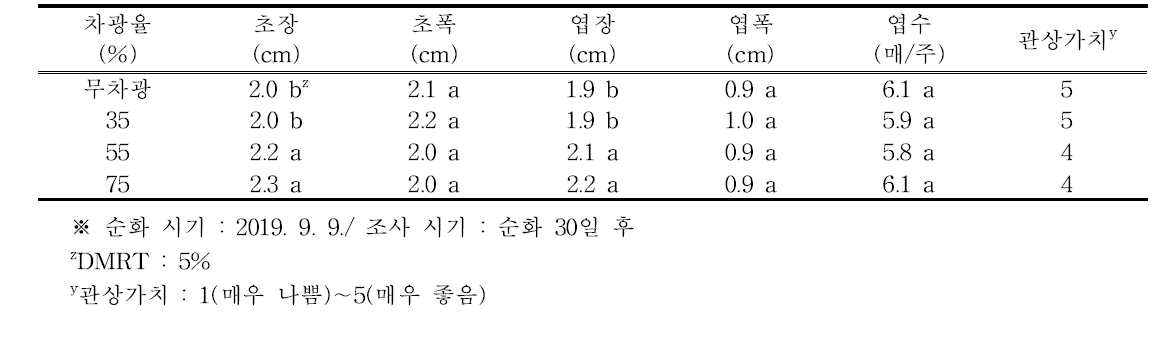 차광율별 하월시아 ‘옥선’의 생육 특성