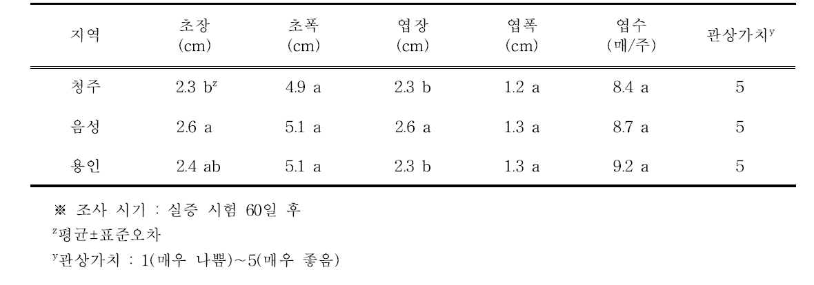 하월시아 ‘옥선’의 생육 특성