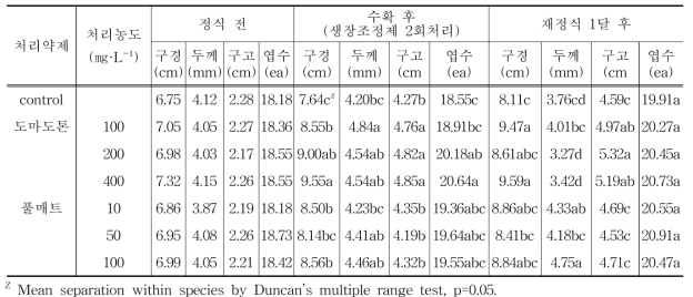 생장조정제(도마도톤, 풀매트) 처리 후 생육특성조사