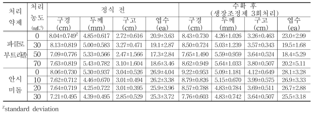 파클로부트라졸, 안시미돌 처리 후 생육특성조사