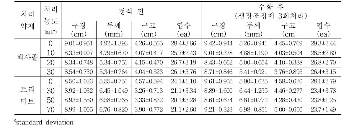 헥사졸, 트리미트 처리 정식 1달 후 생육특성조사