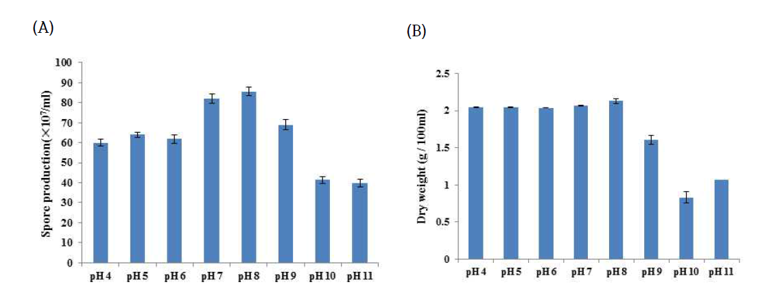 선발 FT337균주의 대량배양을 위한 최적 pH ((A): blastospore, (B): 균체의 건조중)