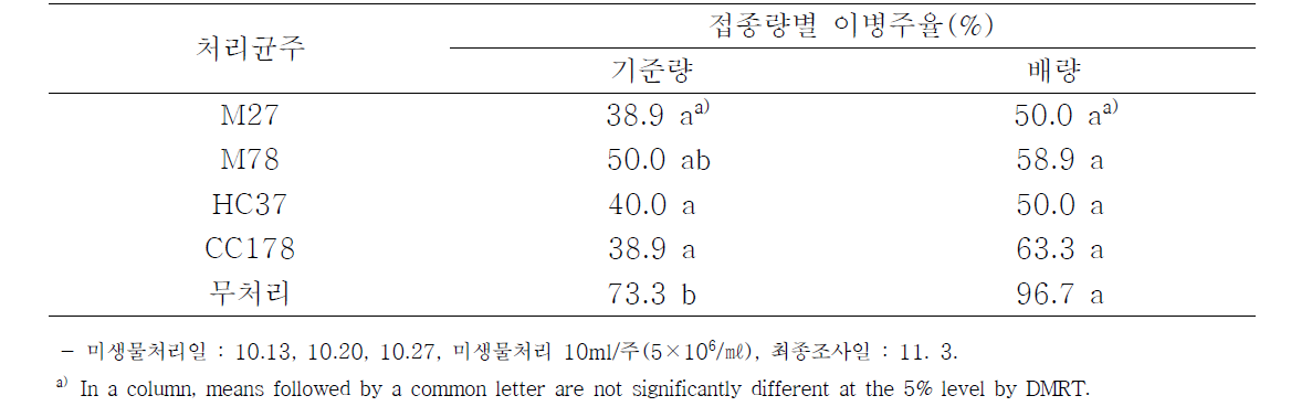 쑥부쟁이 균핵병균 접종량별 분리미생물의 관주처리 효과