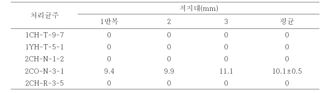 선발균주의 셀롤로스 분해 정도