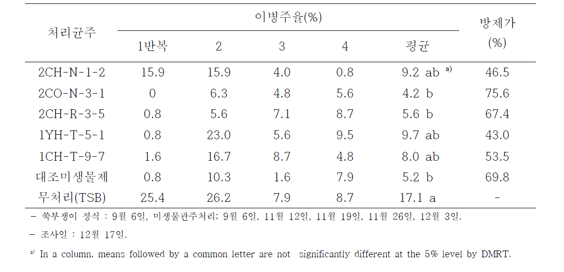 농가 비닐하우스 포장에서 선발균주의 처리체계에 의한 쑥부쟁이 균핵병 방제 효과