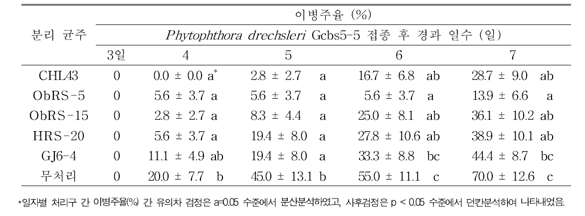 분리 균주의 곰취 종자 침지처리에 의한 역병 방제 효과(온실 검정)