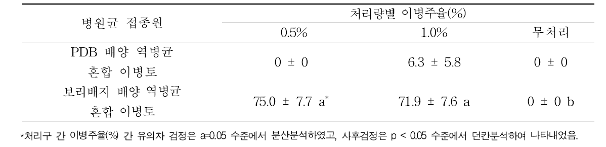 P . drechsleri Gcbs5-5 균주의 이병토의 곰취에 대한 병원성