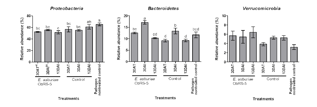 Proteobacteria 문, Bacteroidetes 문, Verrucomicrobia 문의 상대풍부도 변화. *처리구 간 평균값의 유의차 검정은 a=0.05 수준에서 분산분석하였고, 사후검정은 p < 0.05 수준에서 던칸분석하여 나타내었음. a)days after treatment of ObRS-5 strain, b)days after inoculation of Phytophthora drechsleri Gcbs5-5