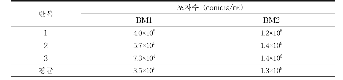 Septoria sp. BM1, BM2의 포자 형성