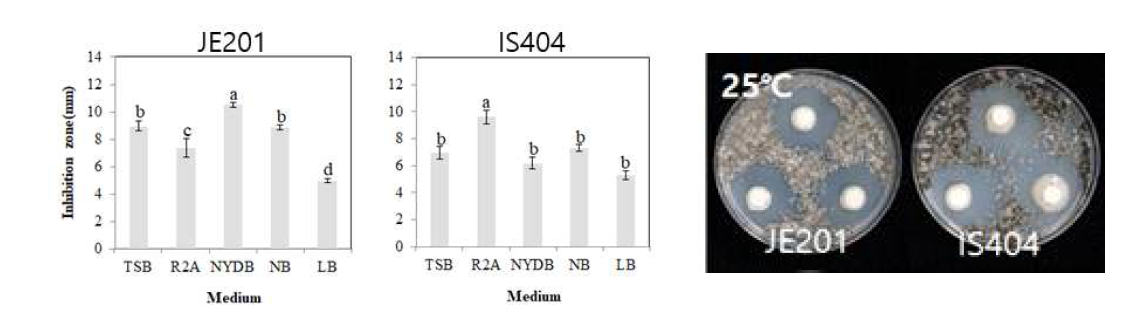 선발 미생물의 참취 점무늬병균 BM2 에 대한 항균활성