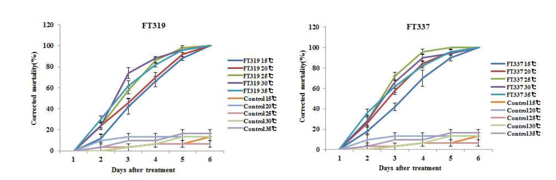 선발 FT319, FT337균주의 처리 온도별 방제효과