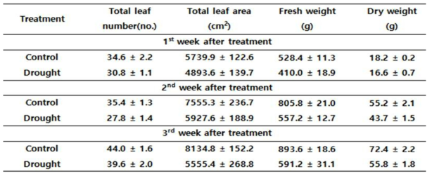 Effect of drought stress on growth characteristics of chinese cabbage