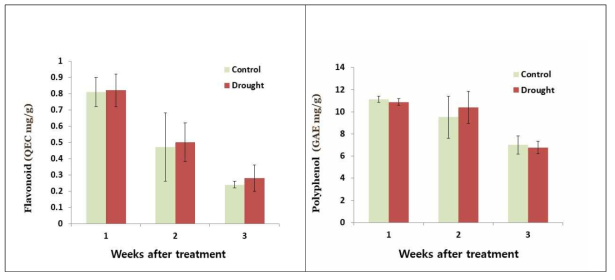 Effect of drought stress on flavonoid (left) and polyphenol content of chinese caabage
