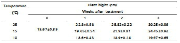 Effect of low temperature on plant hight of pepper plant