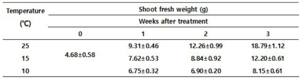 Effect of low temperature on shoot fresh weight of pepper plant at 3weeks