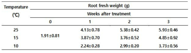 Effect of low temperature on root fresh weight of pepper plant at 3weeks