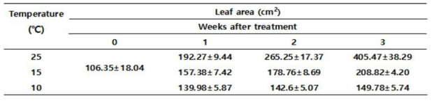 Effect of low temperature on leaf area of pepper plant at 3 weeks