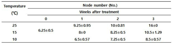Effect of low temperature on node number of pepper plant