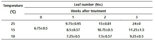 Effect of low temperature on leaf number of pepper plant
