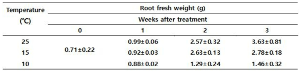 Effect of low temperature on root fresh weight of pepper plant