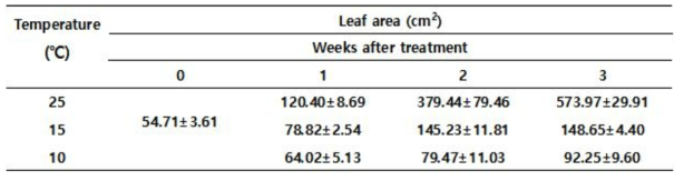Effect of low temperature on leaf area of pepper plant