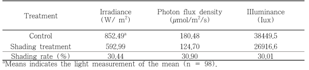 Effect of shading treatment on light intensity measurements for three months