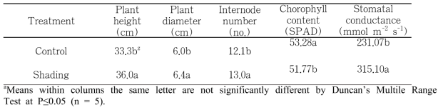 Effect of shading treatment on plant growth characteristics of pepper plant at 3 week after shading treatment