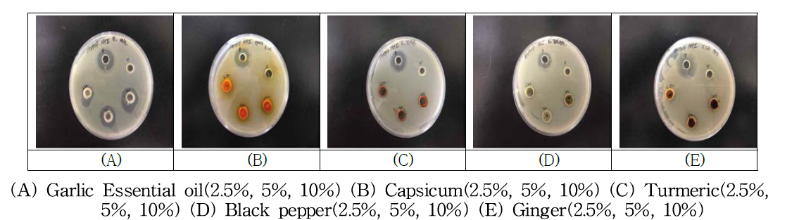에센셜 오일에 따른 대장균 생육 억제능 평가