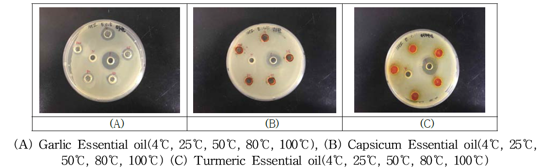 Garlic, Capsicum, Turmeric Oil의 온도에 따른 안전성 시험