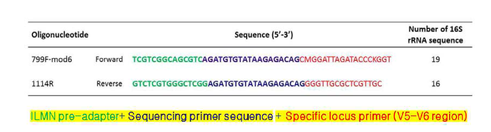 V5-V6 Region을 타겟으로 하는 799F, 1114R primer set