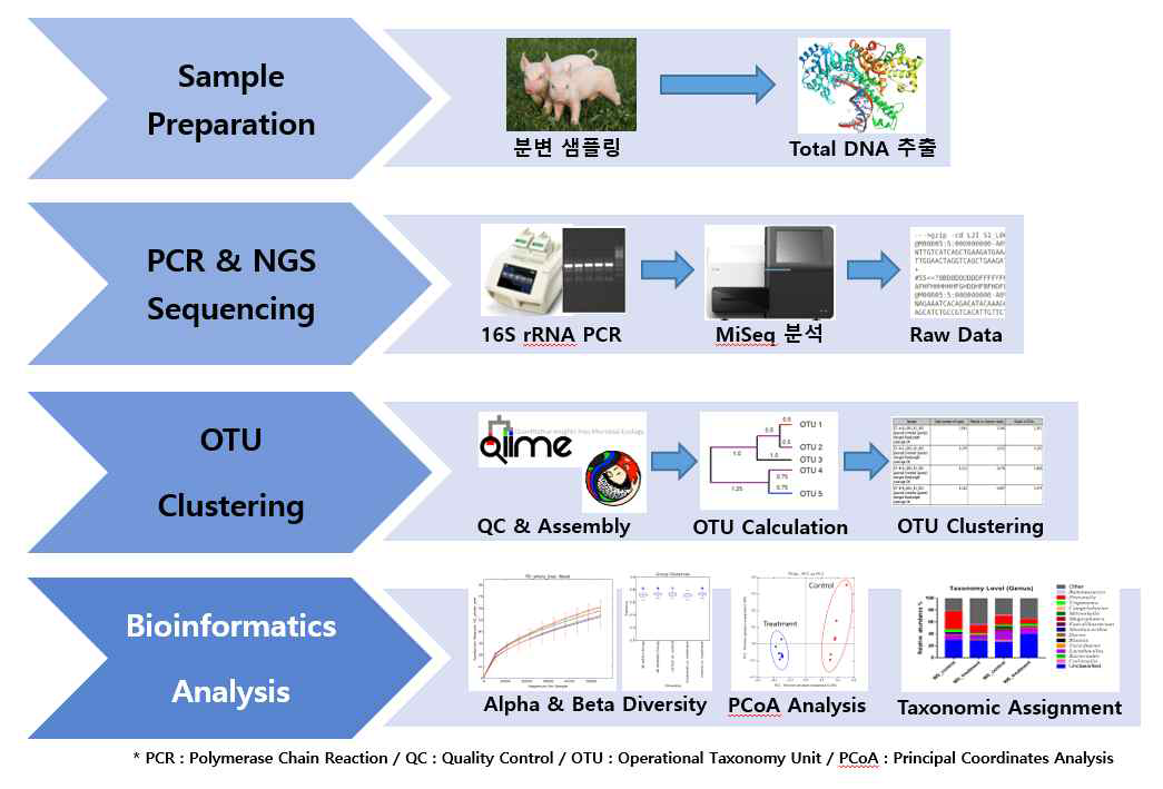 돼지 장관 미생물총 16S rRNA 분석을 위한 Workflow