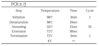 PCR 조건